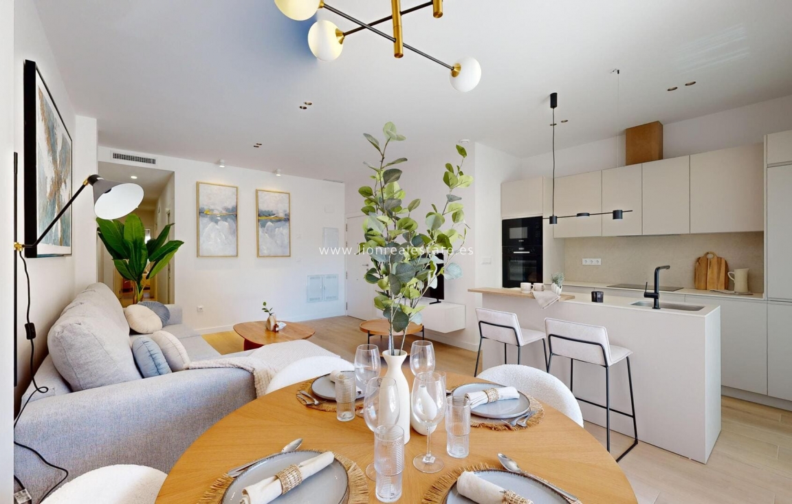 Obra nueva - Ático - Guardamar del Segura - Guardamar Del Segura