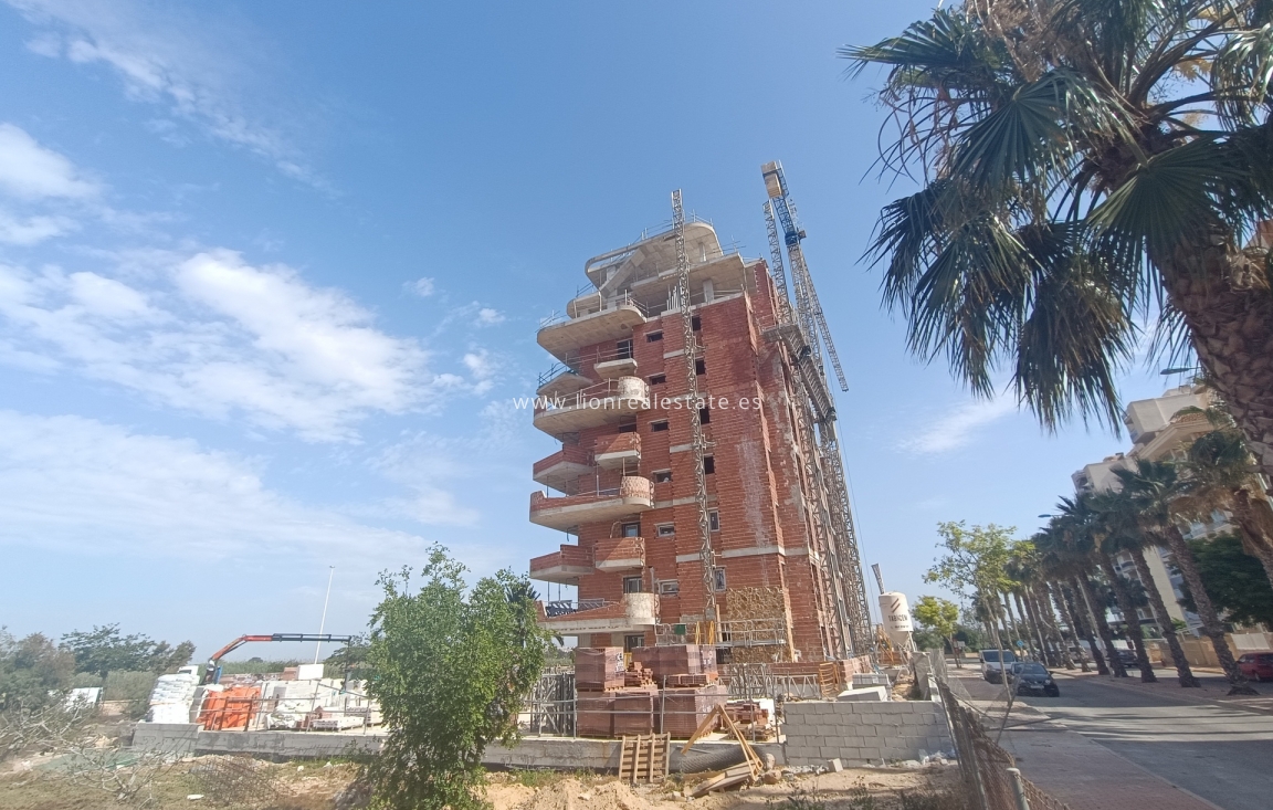 Obra nueva - Ático - Guardamar del Segura - Guardamar Del Segura