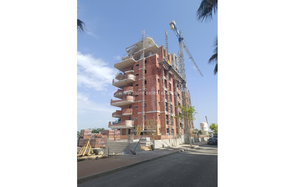 Obra nueva - Ático - Guardamar del Segura - Guardamar Del Segura