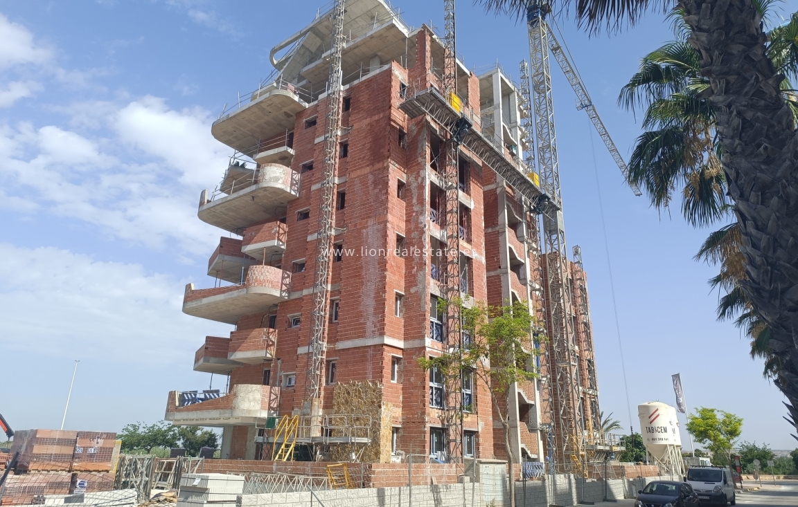 Obra nueva - Ático - Guardamar del Segura - Guardamar Del Segura