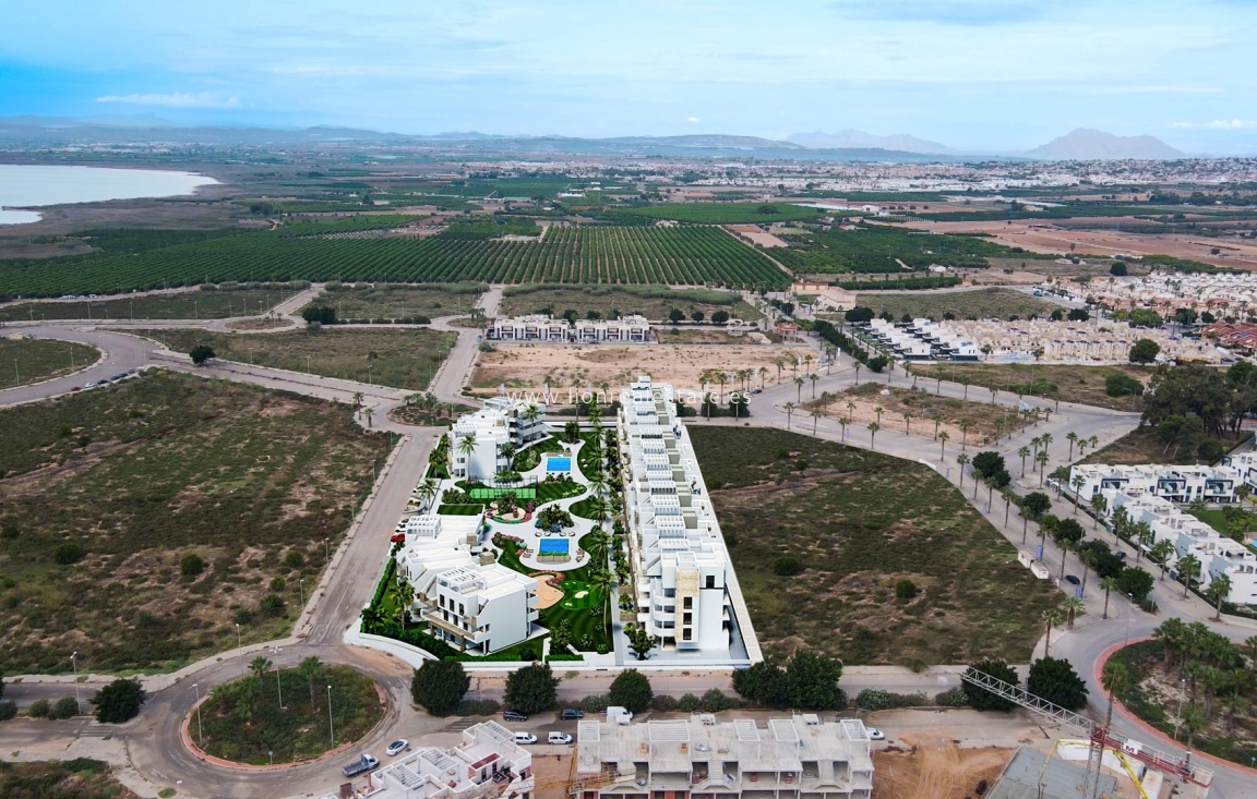 Obra nueva - Ático - Guardamar del Segura - Guardamar Del Segura