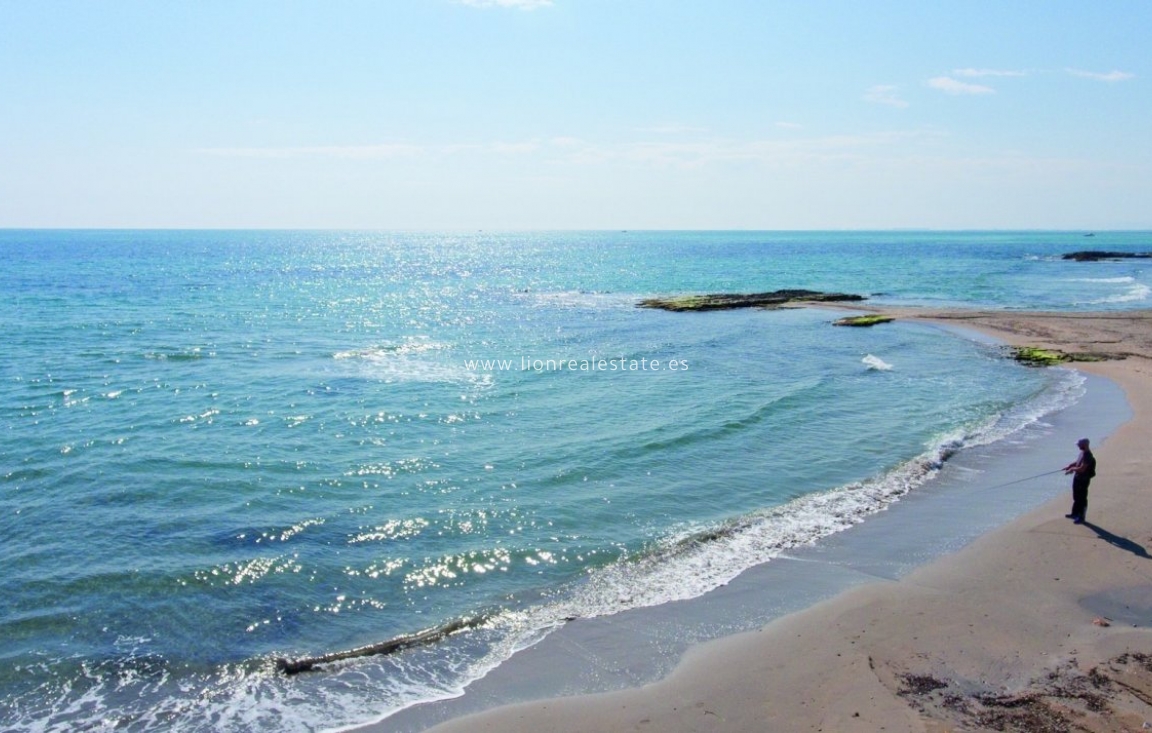 Obra nueva - Ático - Orihuela Costa - Campoamor