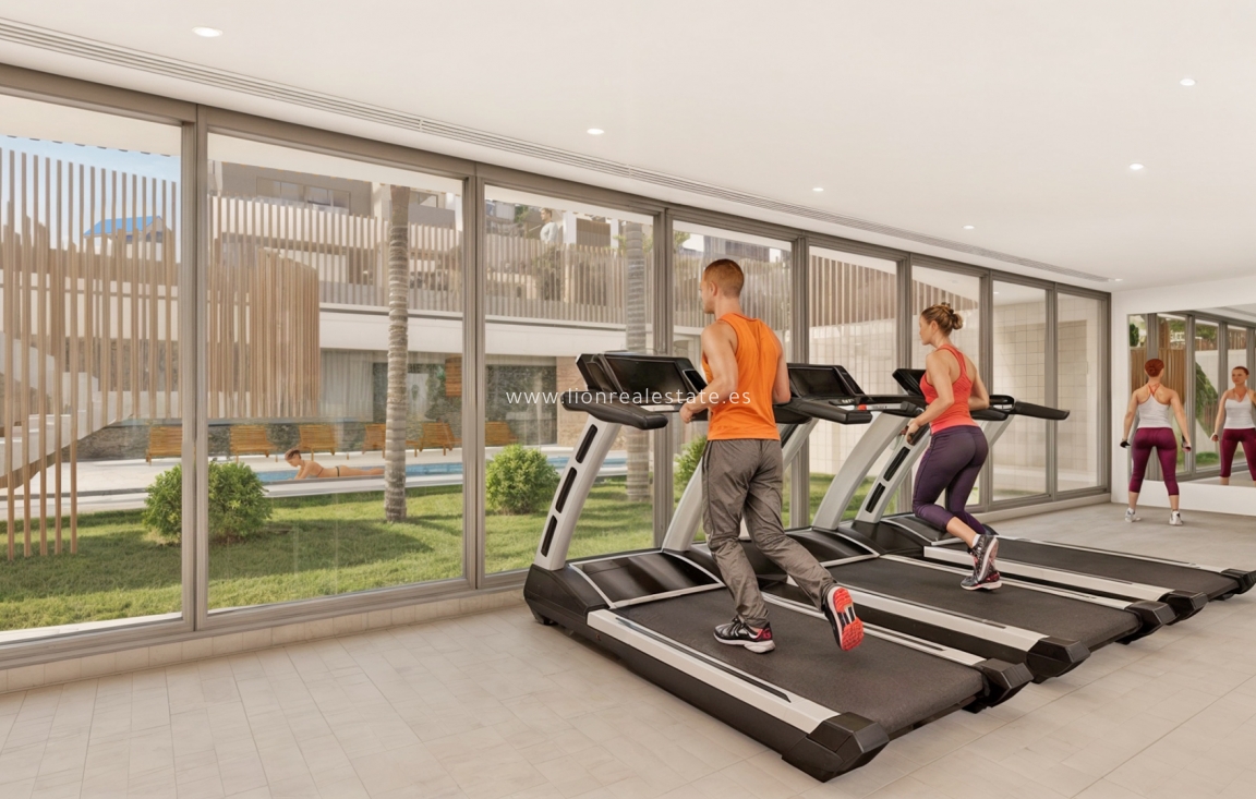 Obra nueva - Ático - Pilar de La Horadada - Pilar de la Horadada