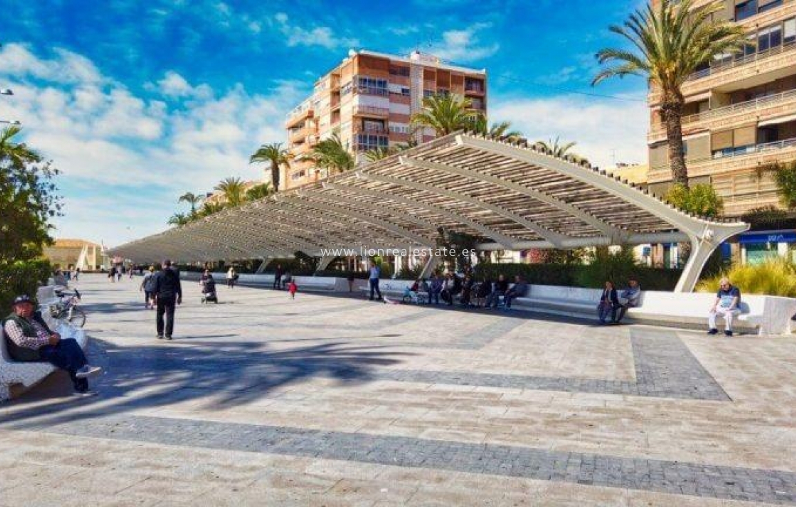 Obra nueva - Ático - Torrevieja - Habaneras