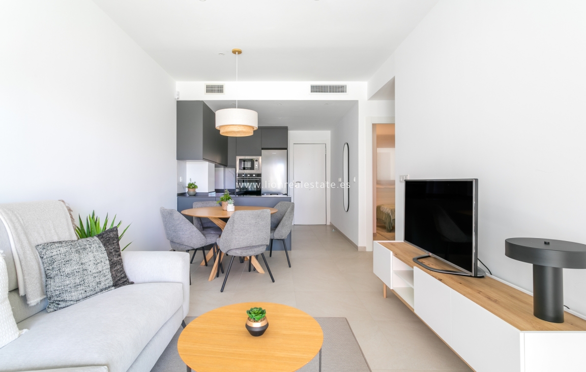 Obra nueva - Ático - Torrevieja