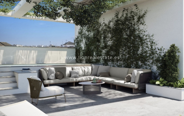 Obra nueva - Ático - Torrevieja