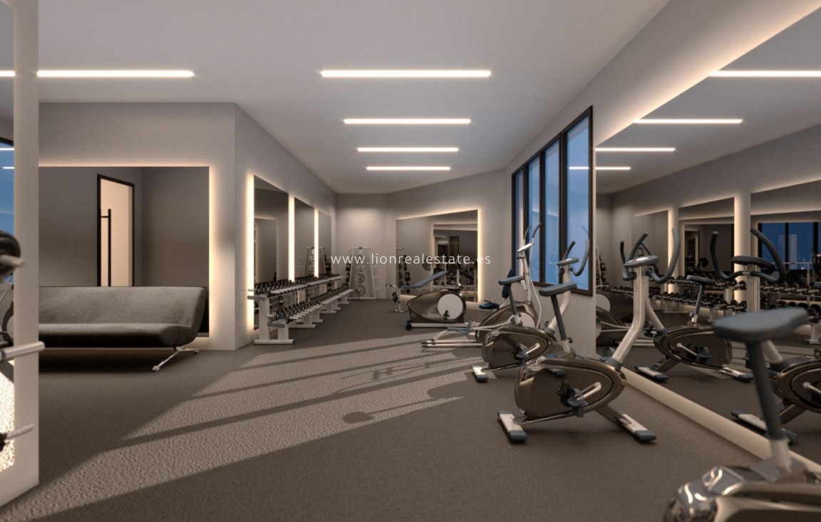 Obra nueva - Ático - Torrevieja