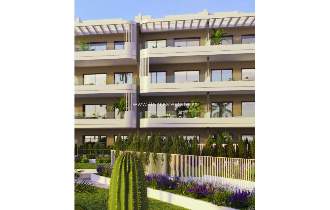 Obra nueva - Ático - Torrevieja