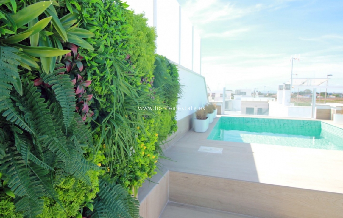 Obra nueva - Bungalow - Pilar de la Horadada - Torre de la Horadada