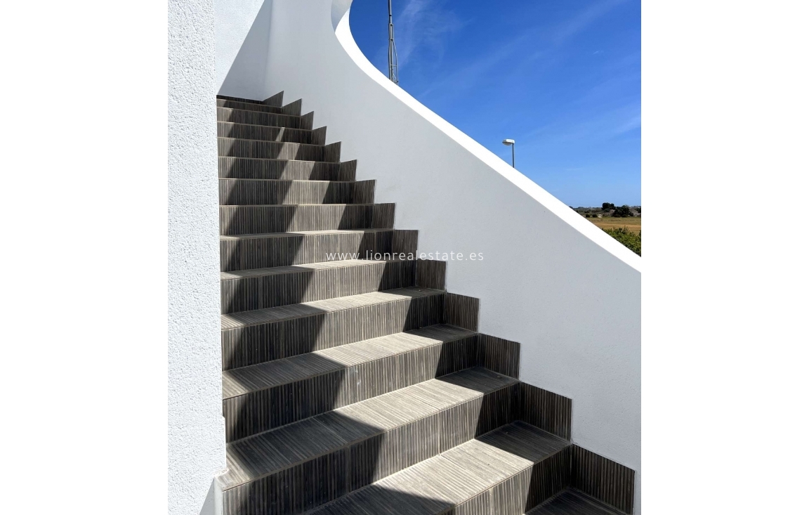 Obra nueva - detached - Ciudad Quesada