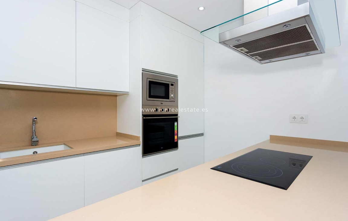 Obra nueva - detached - Daya Nueva