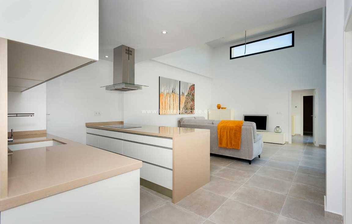 Obra nueva - detached - Daya Nueva