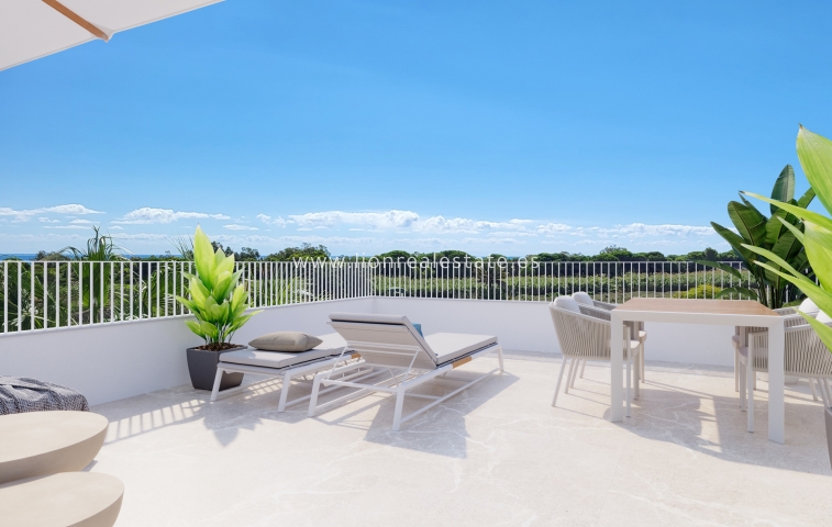 Obra nueva - detached - Elche