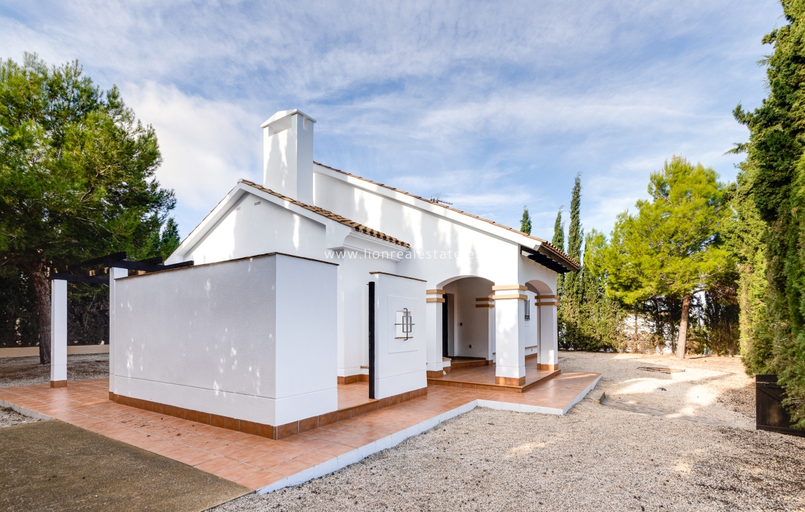 Obra nueva - detached - Fuente Álamo - Fuente Alamo