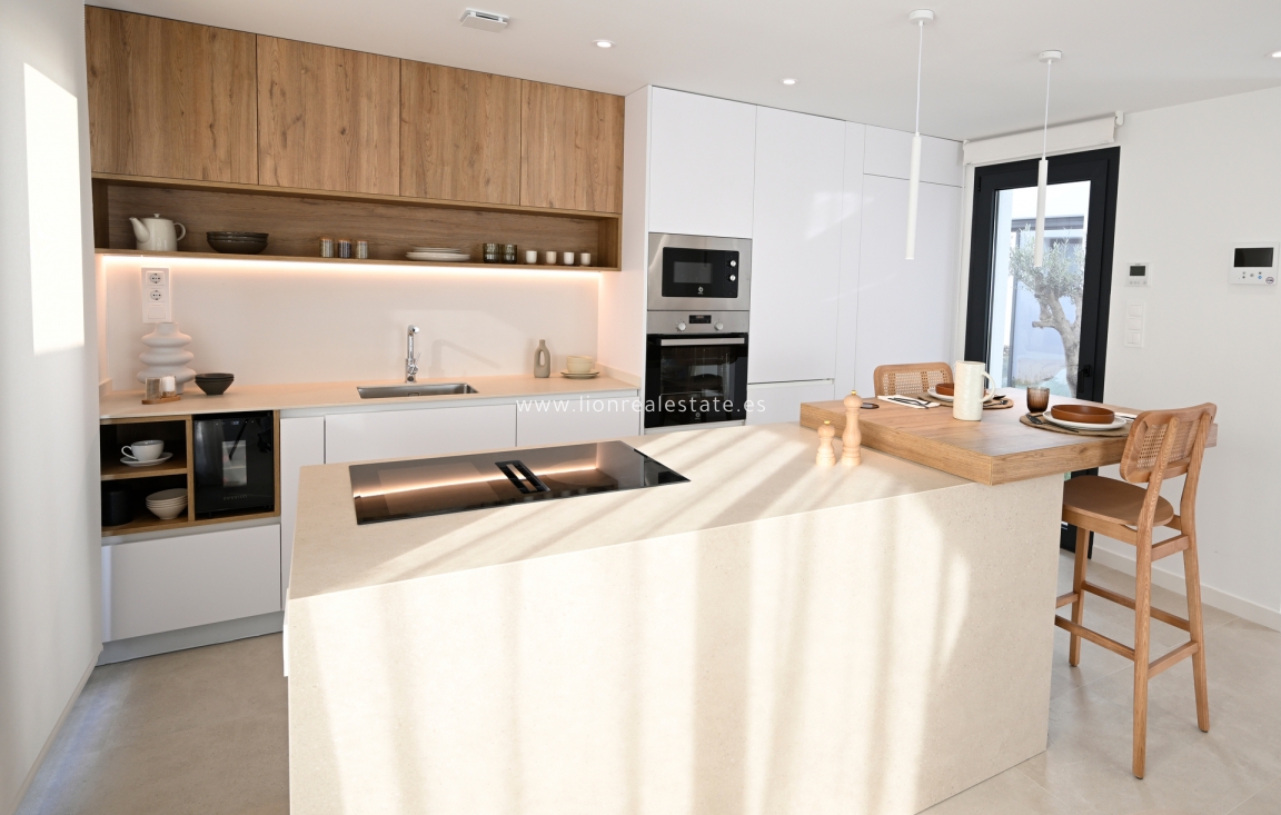 Obra nueva - detached - Murcia