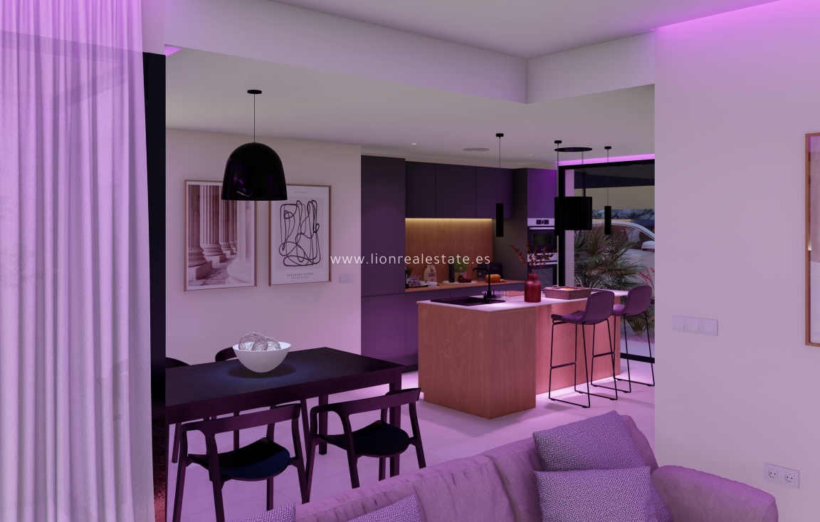 Obra nueva - detached - Murcia