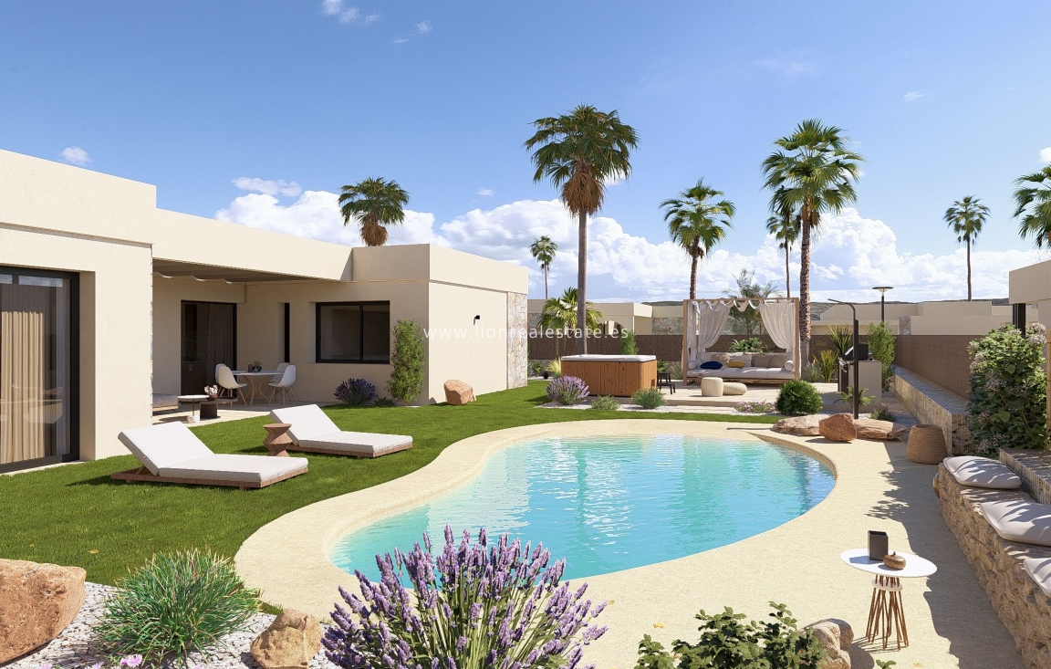 Obra nueva - detached - Murcia