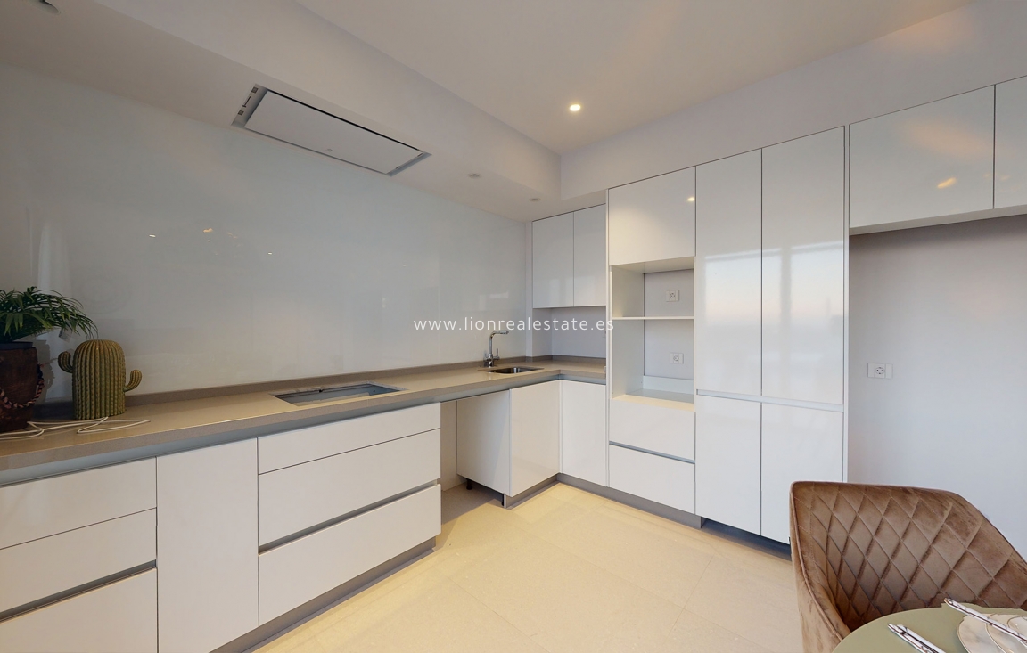 Obra nueva - detached - Mutxamel