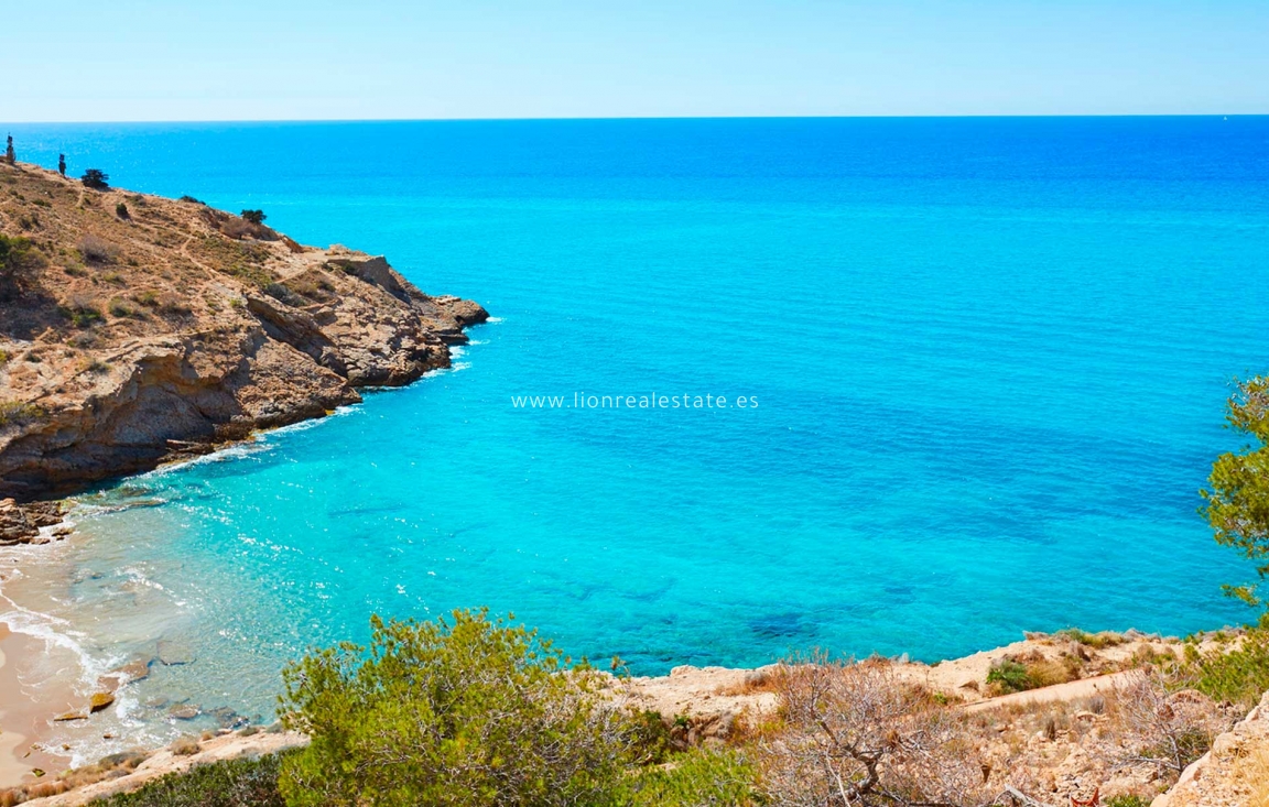 Obra nueva - detached - Orihuela Costa - Orihuela