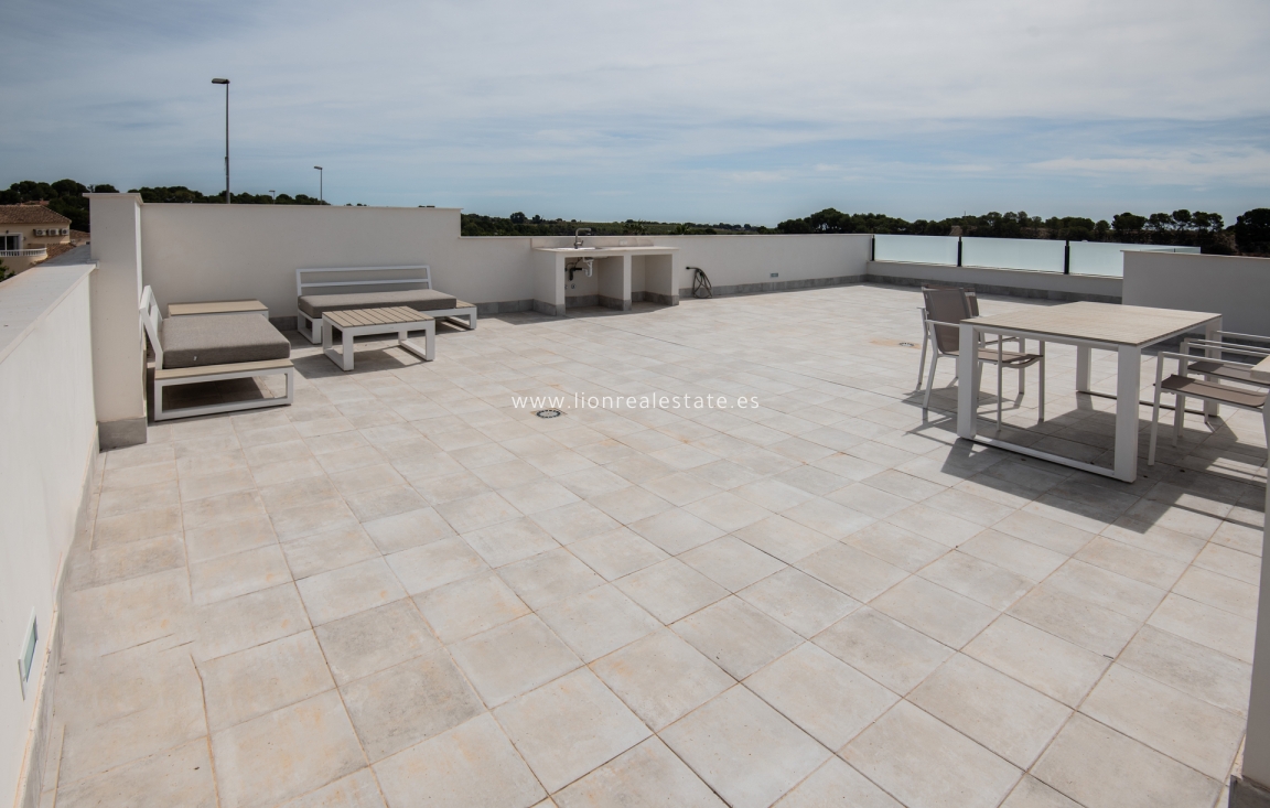 Obra nueva - detached - Pinar de Campoverde