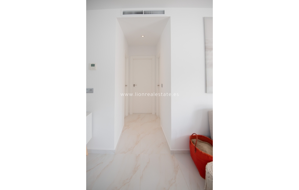 Obra nueva - detached - Pinar de Campoverde