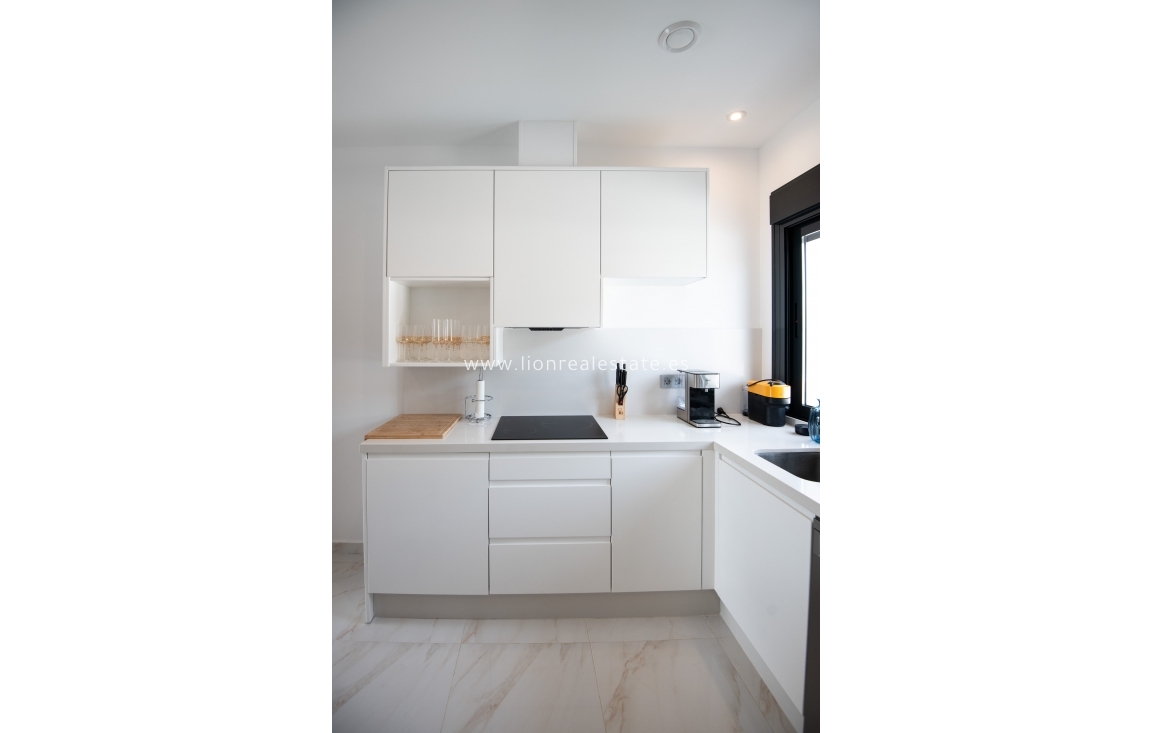 Obra nueva - detached - Pinar de Campoverde