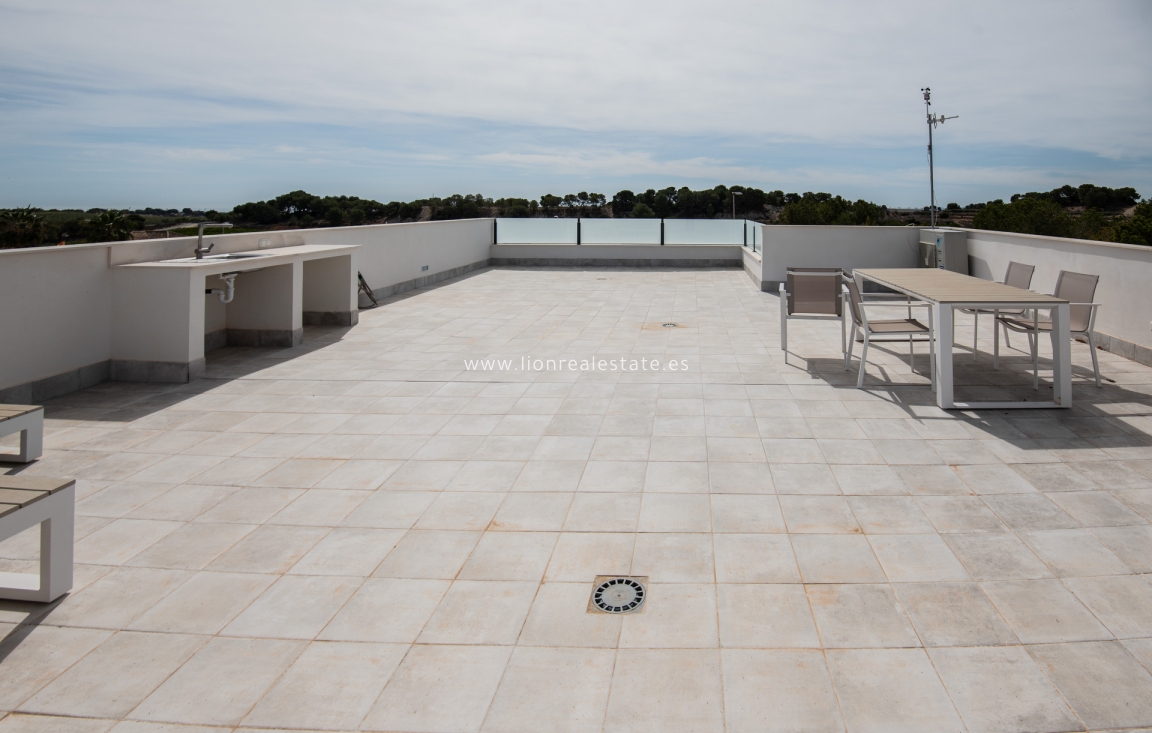 Obra nueva - detached - Pinar de Campoverde