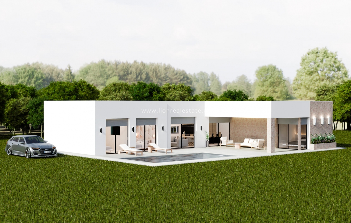 Obra nueva - detached - Pinoso