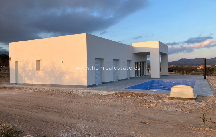 Obra nueva - detached - Pinoso