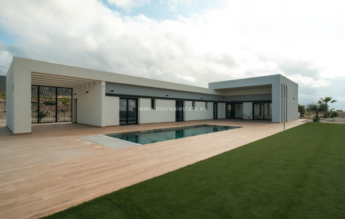 Obra nueva - detached - Pinoso