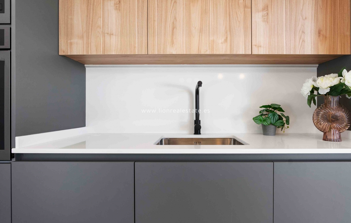 Obra nueva - detached - Rojales