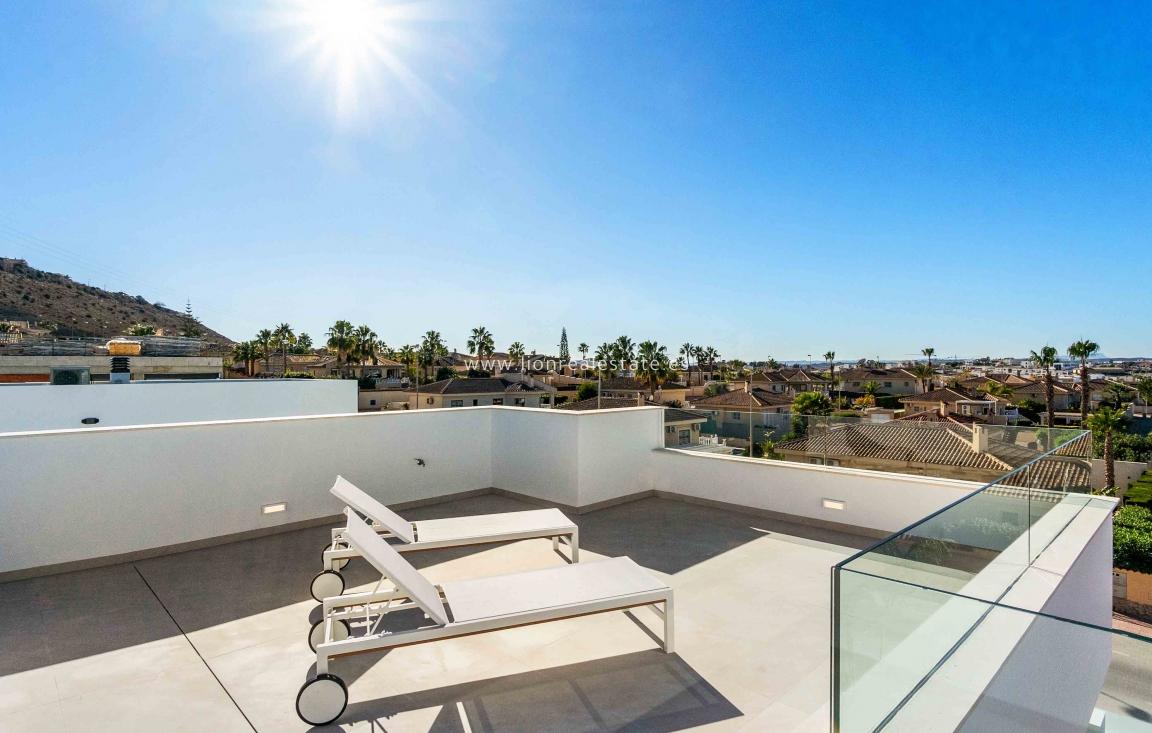 Obra nueva - detached - Rojales