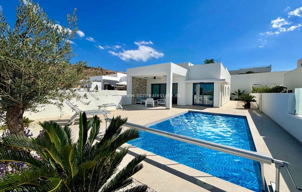 Obra nueva - detached - Rojales