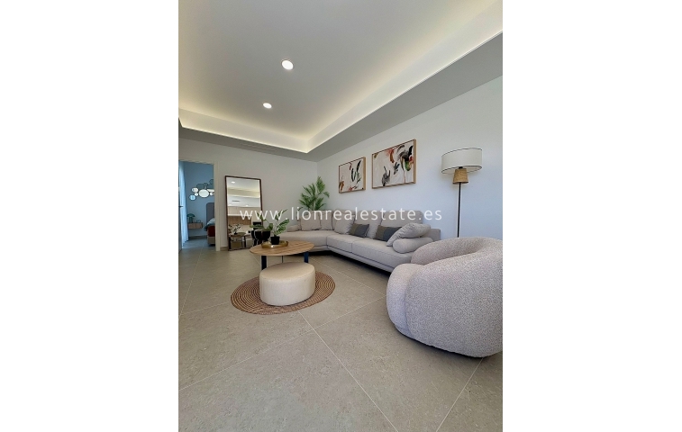 Obra nueva - detached - Roldán
