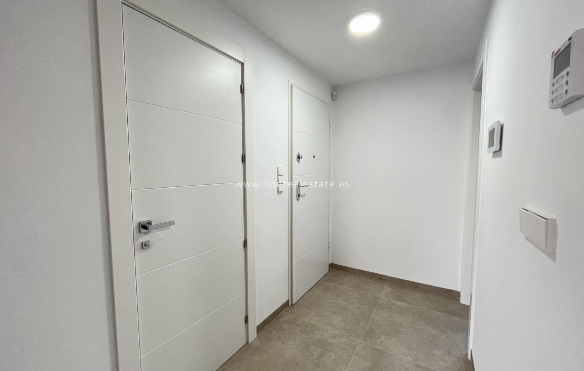 Obra nueva - detached - San Pedro del Pinatar - San Pedro Del Pinatar