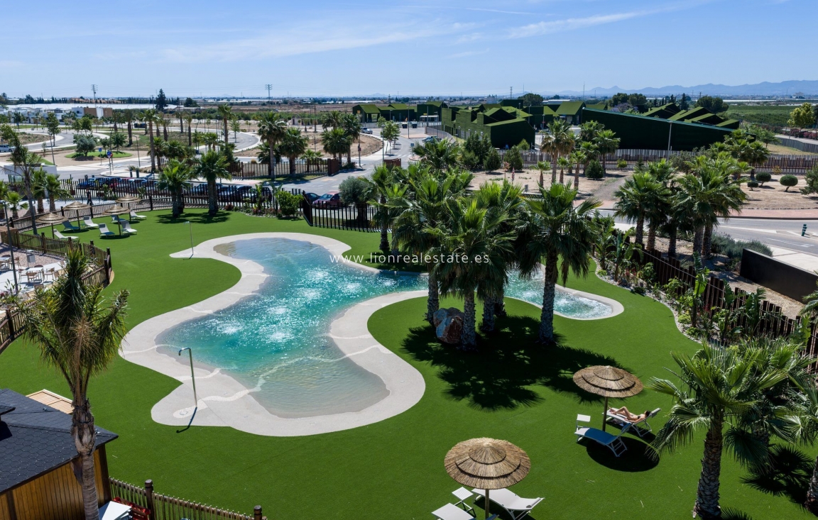 Obra nueva - detached - Torre-Pacheco