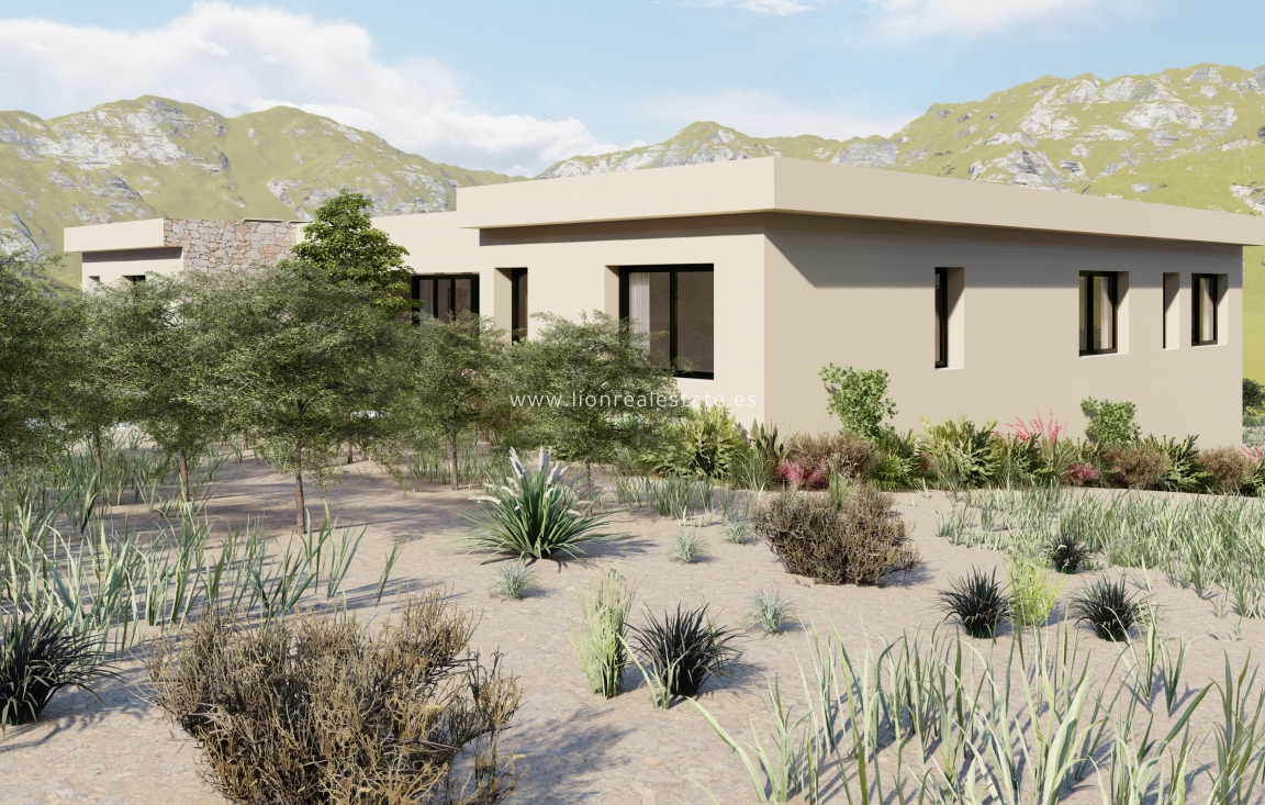 Obra nueva - detached - Yecla