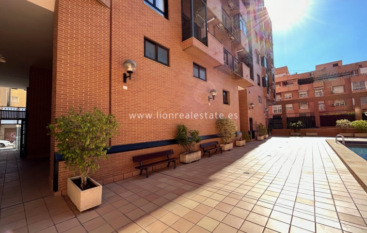 Obra nueva - ground-floor - Alicante (Alacant)