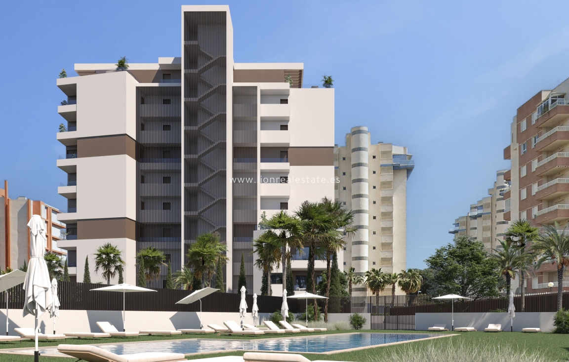 Obra nueva - ground-floor - Guardamar del Segura