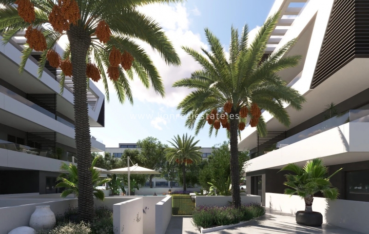 Obra nueva - ground-floor - Sant Joan d'Alacant