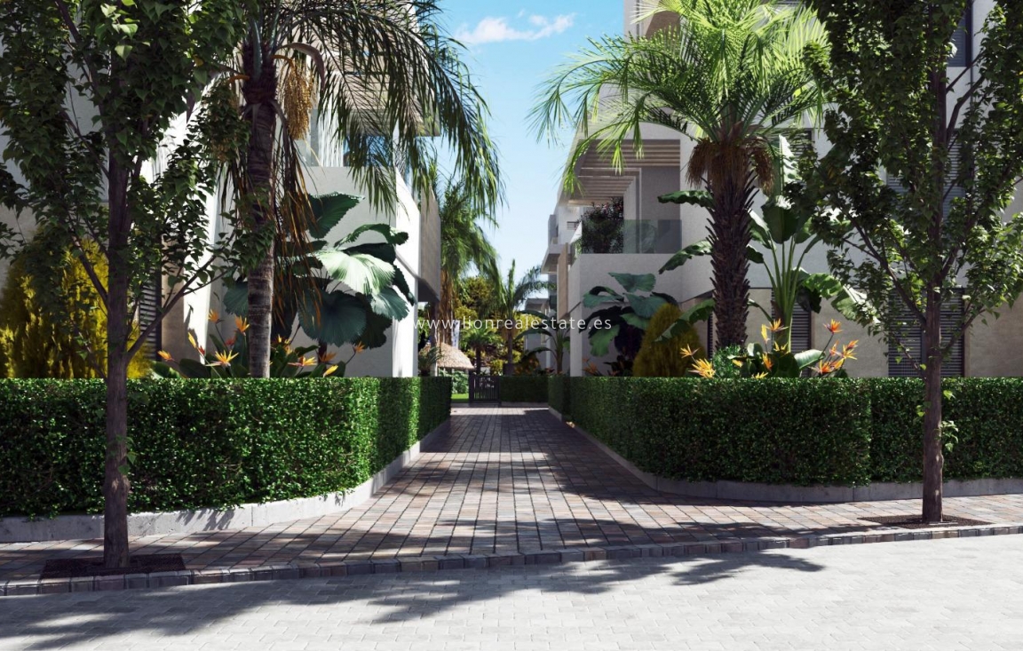 Obra nueva - ground-floor - Torre-Pacheco