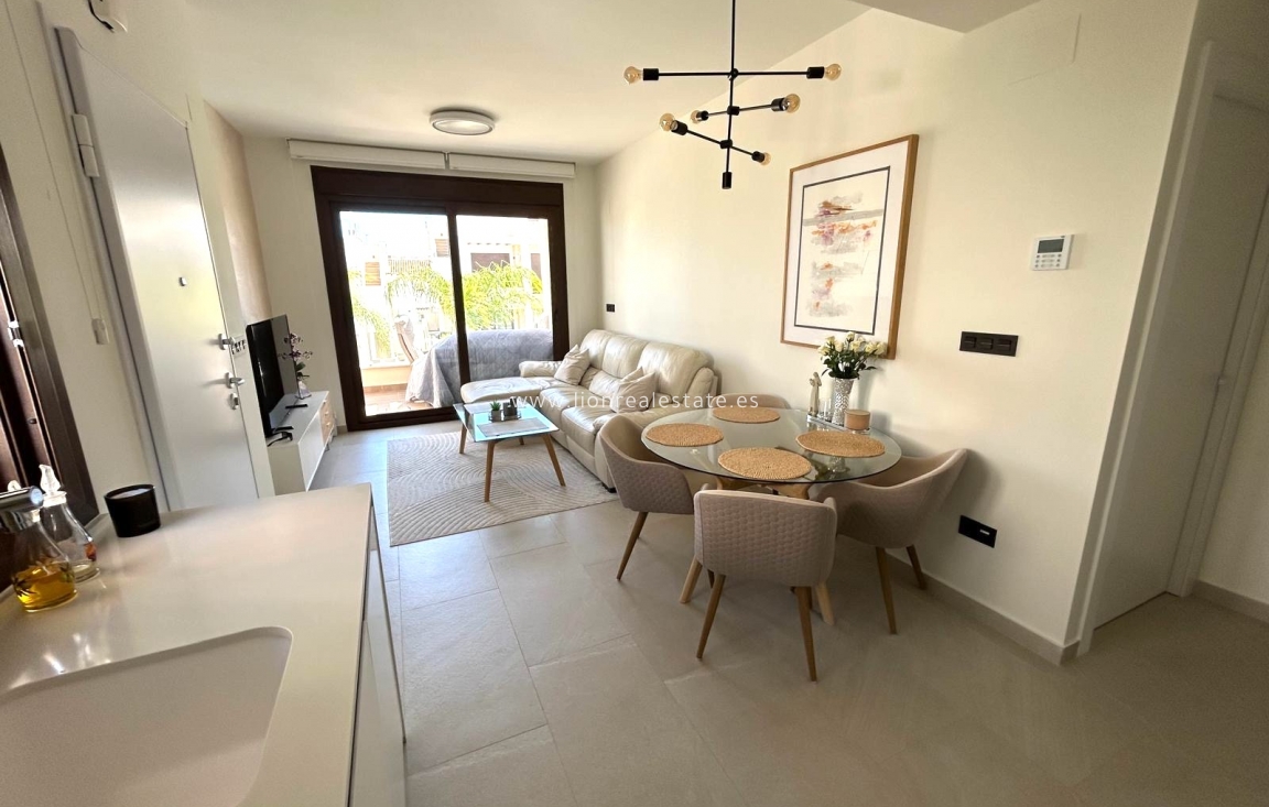 Obra nueva - ground-floor - Torrevieja