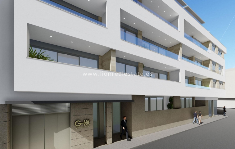 Obra nueva - ground-floor - Torrevieja