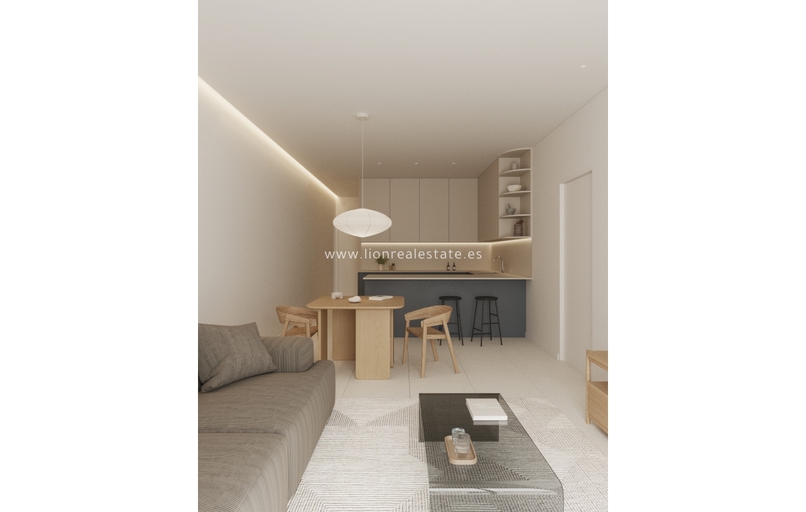 Obra nueva - ground-floor - Torrevieja