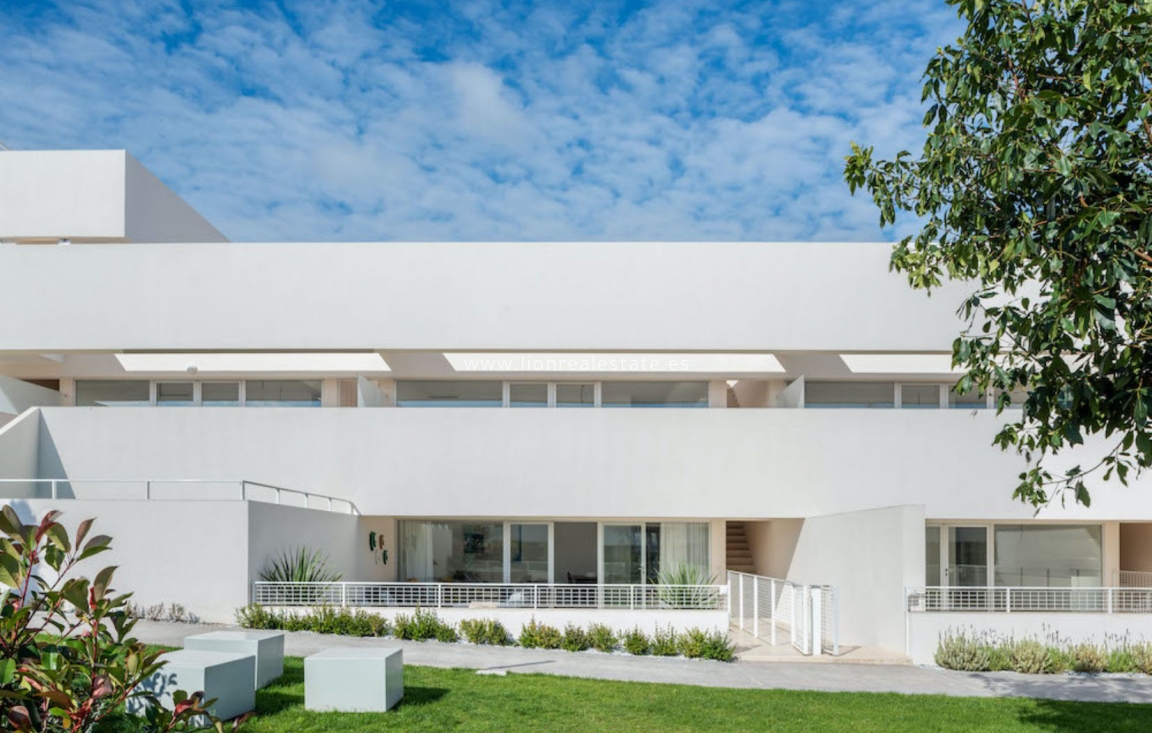 Obra nueva - ground-floor - Torrevieja