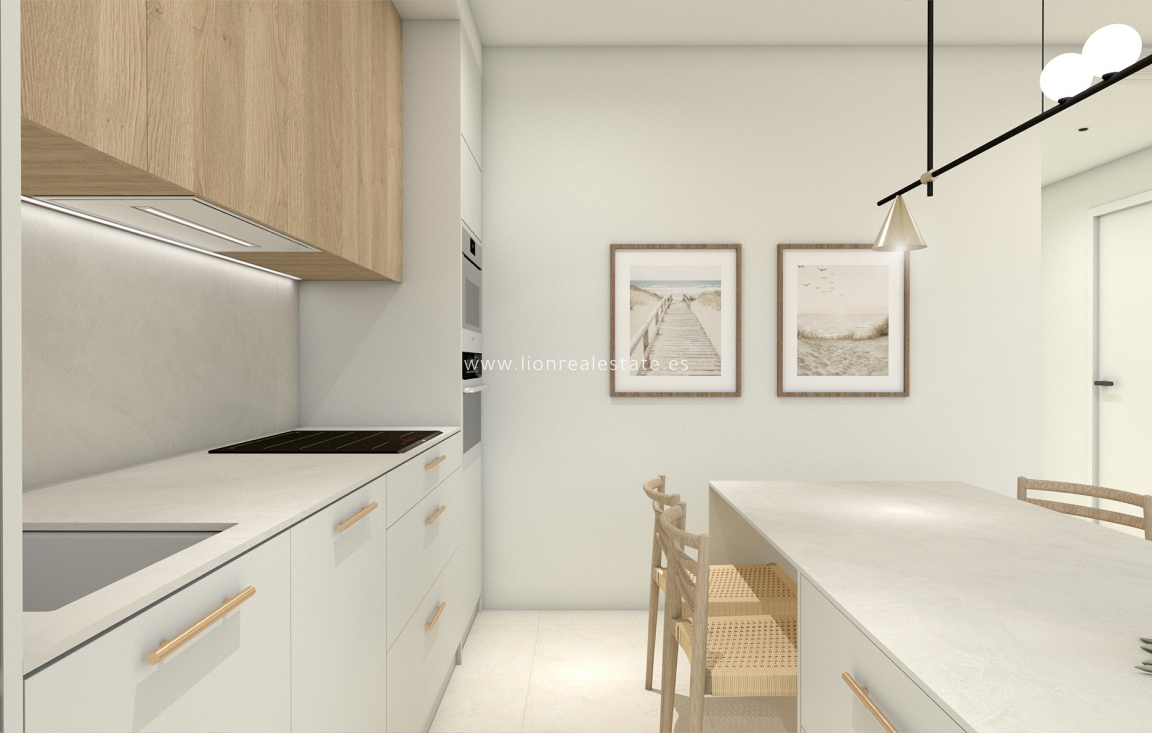 Obra nueva - high-bungalow - Pilar de La Horadada - Pilar de la Horadada