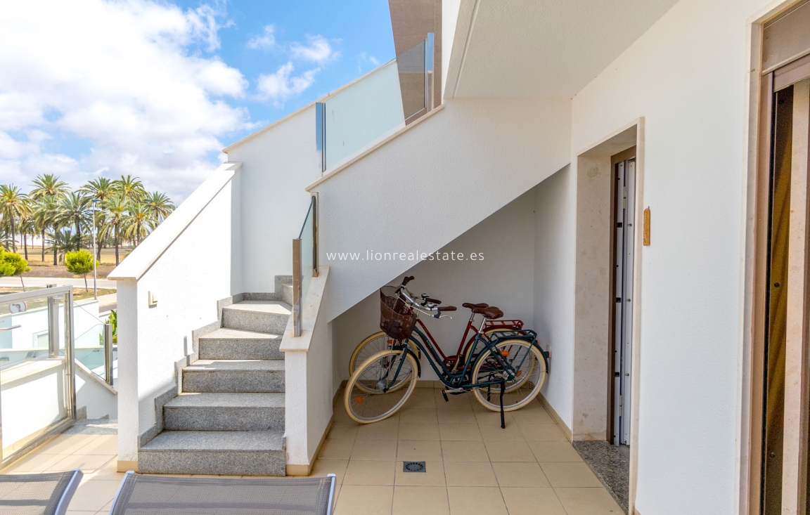 Obra nueva - high-bungalow - San Pedro del Pinatar - San Pedro Del Pinatar