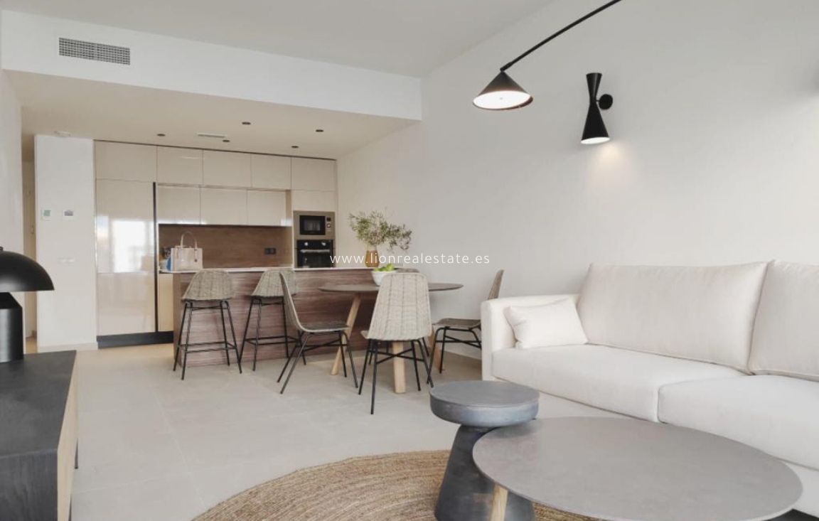 Obra nueva - high-bungalow - Torrevieja