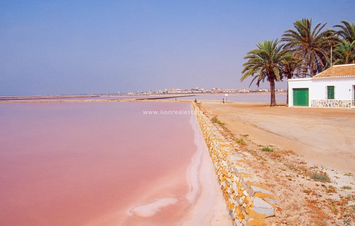 Obra nueva - low-bungalow - San Pedro del Pinatar - San Pedro Del Pinatar