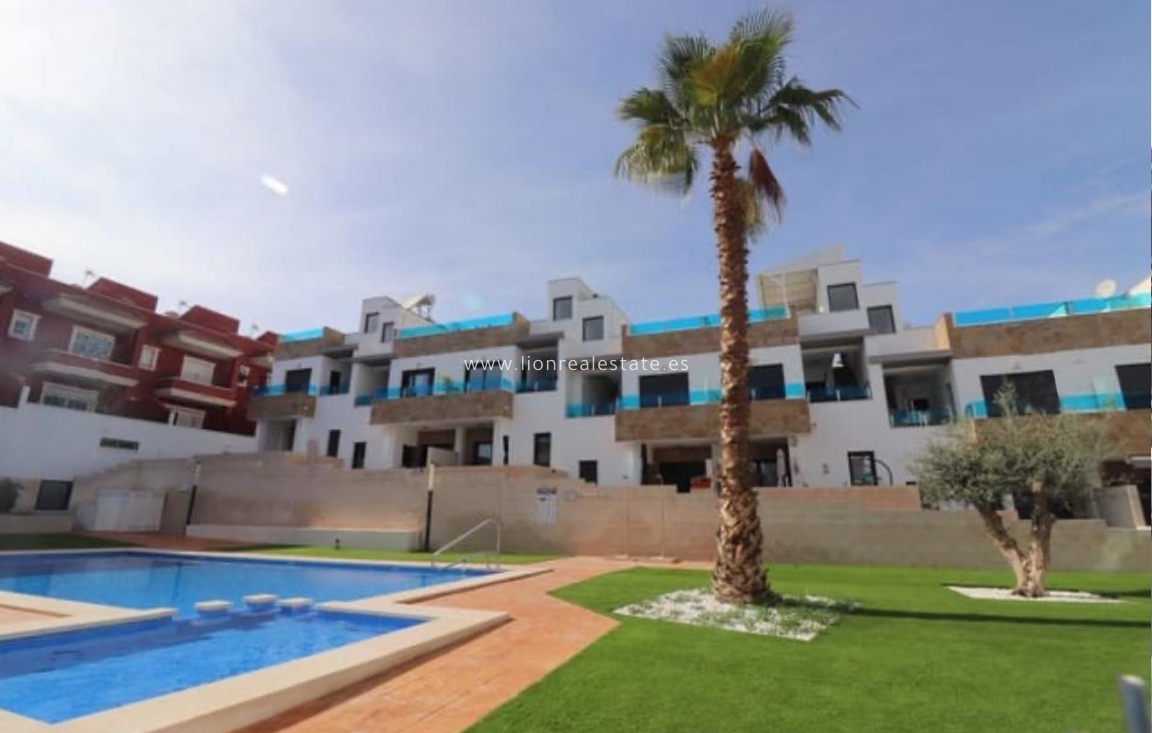 Obra nueva - terraced - Bigastro